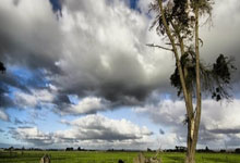 aoa体育馆-最新足球赛事更新，让您第一时间了解动态，足球赛事最新推荐